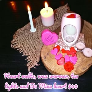 Wax warmer and wax melt set